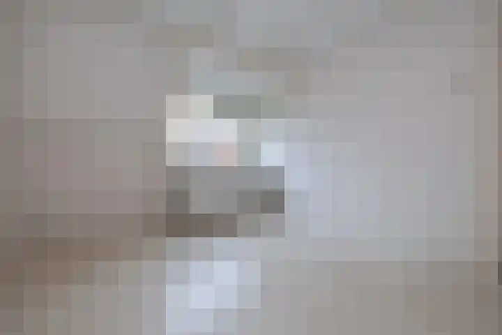 De Berken 30 Bussum thumbnail 16