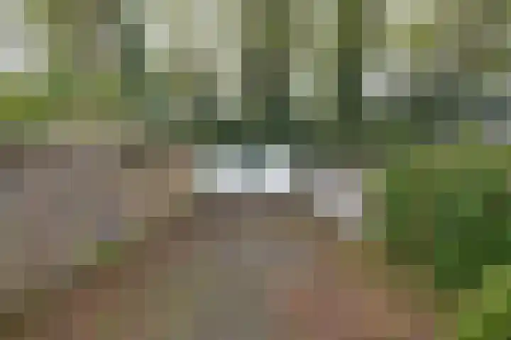 De Berken 30 Bussum thumbnail 21