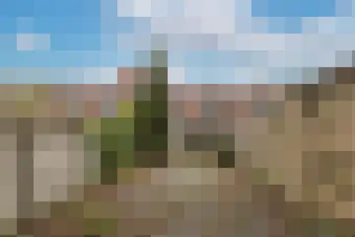 De Berken 30 Bussum thumbnail 22