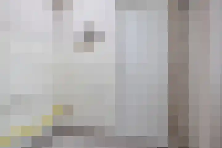 De Berken 30 Bussum thumbnail 9