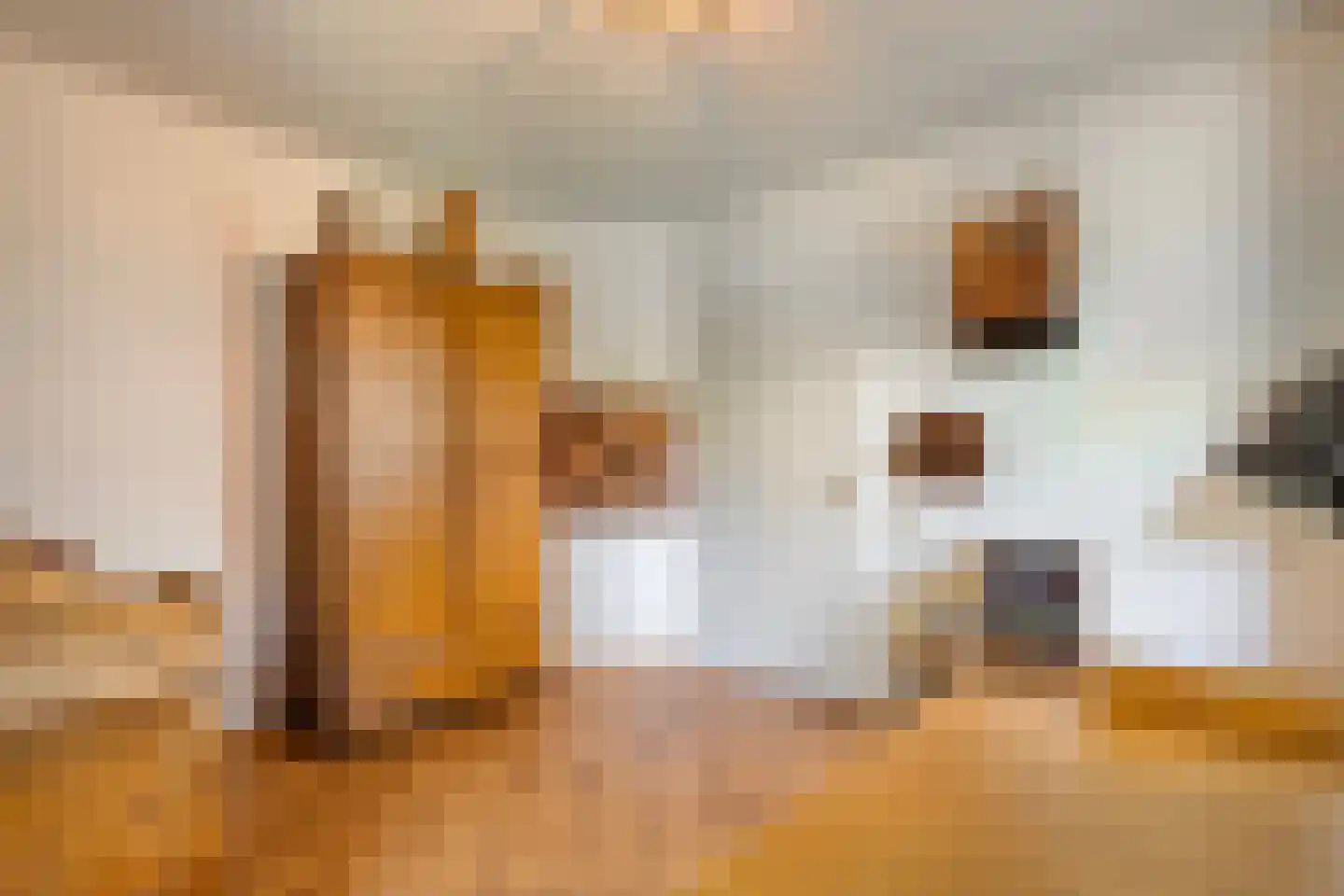 De Berken 33 Koekange thumbnail 11