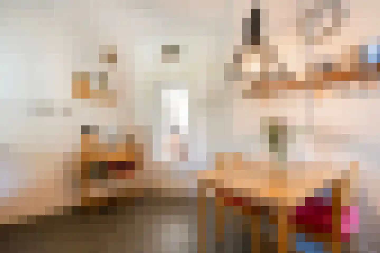 De Berken 33 Koekange thumbnail 12