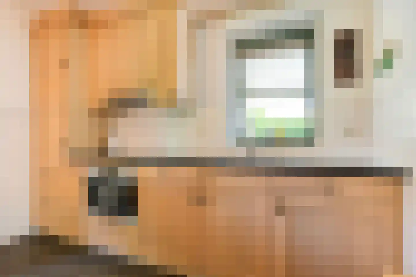 De Berken 33 Koekange thumbnail 13