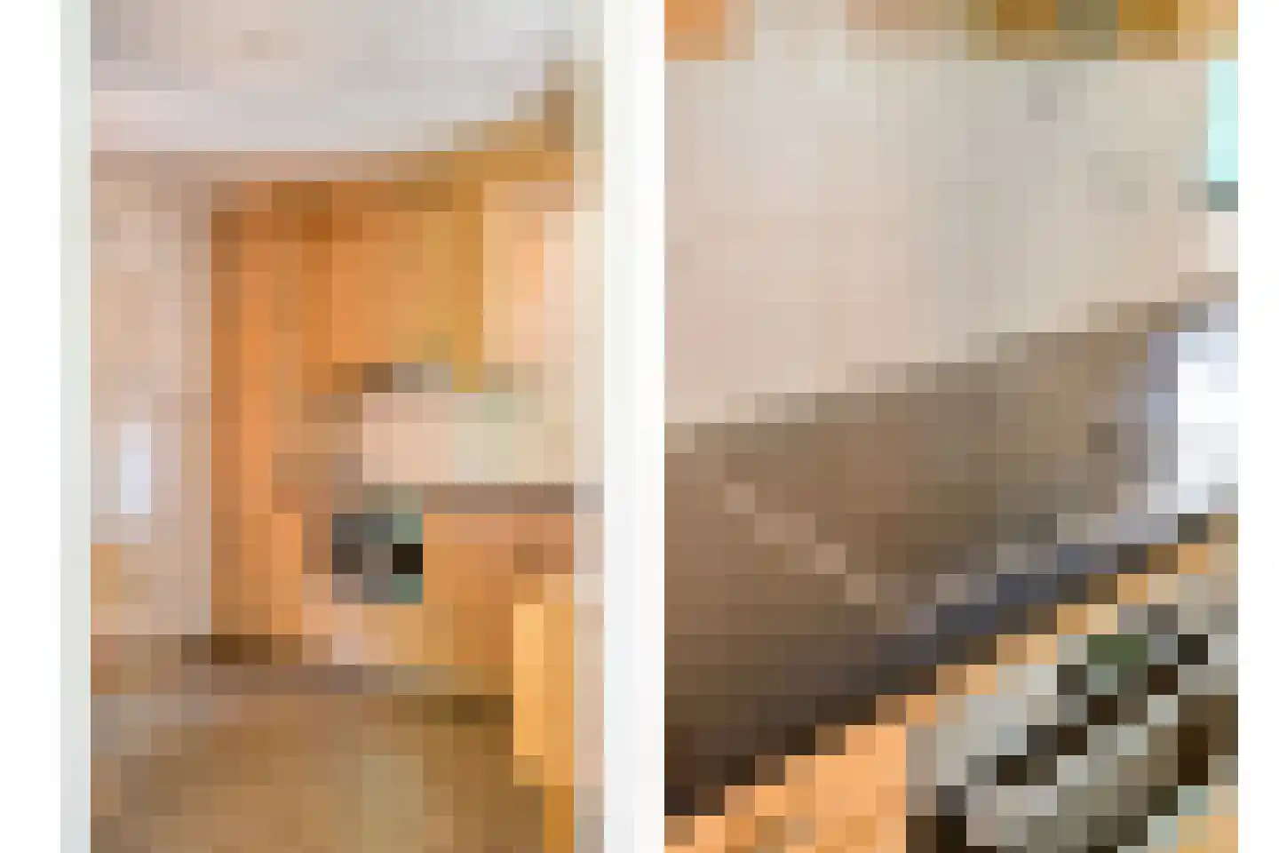 De Berken 33 Koekange thumbnail 14