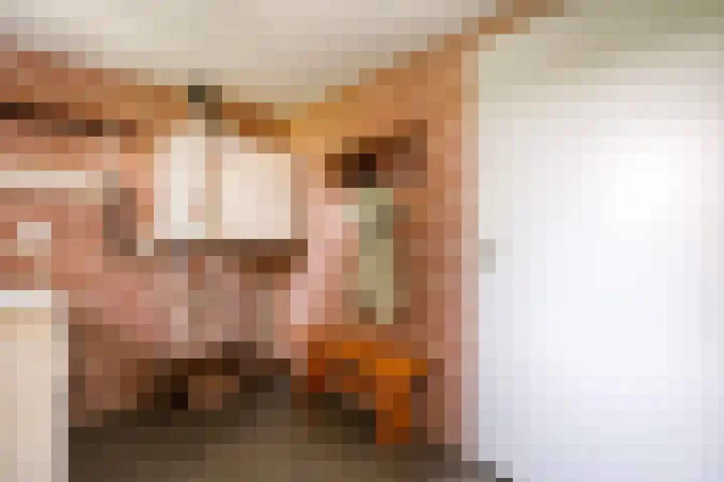 De Berken 33 Koekange thumbnail 16
