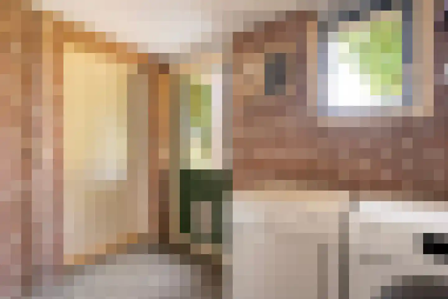 De Berken 33 Koekange thumbnail 17