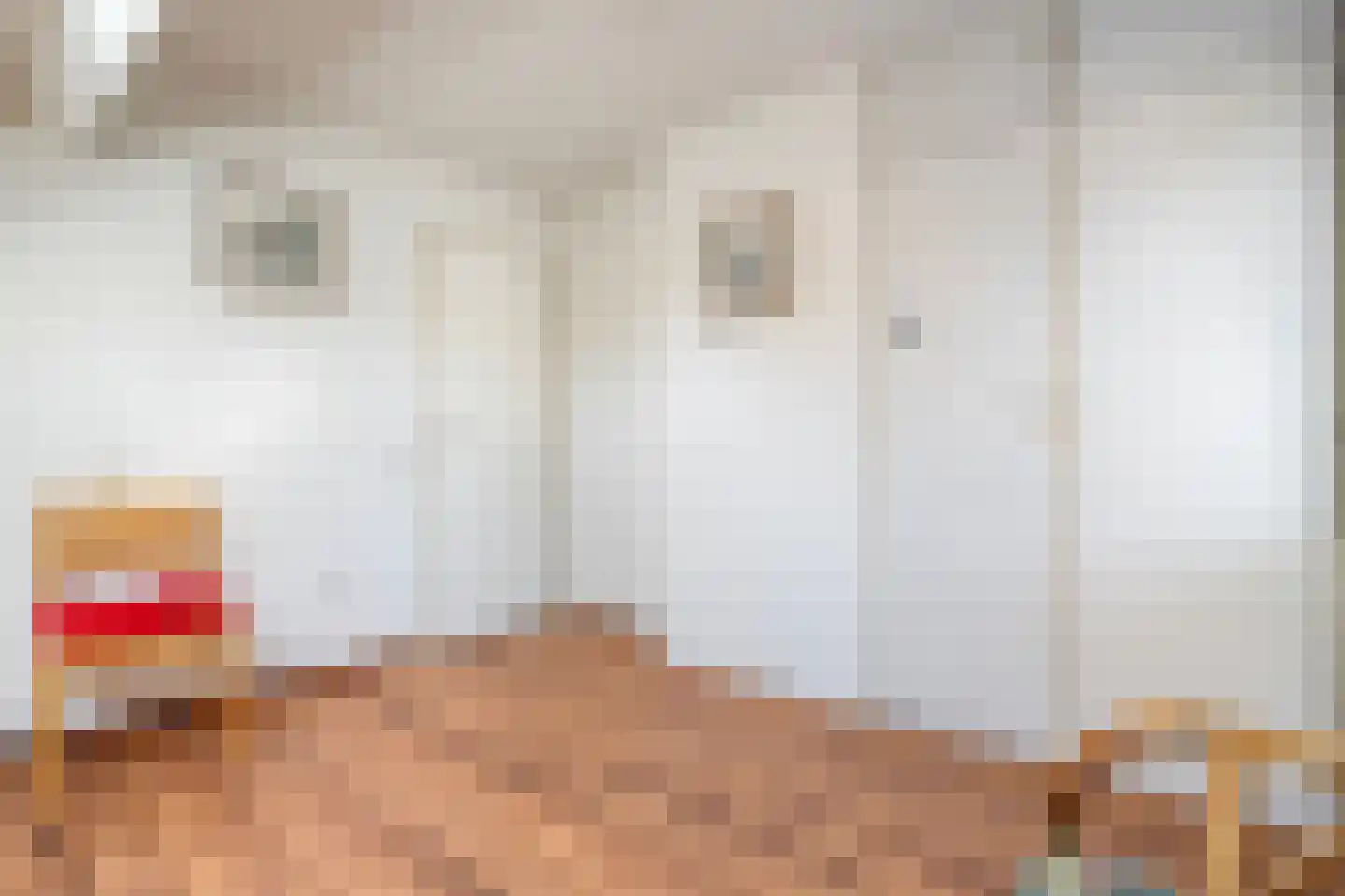 De Berken 33 Koekange thumbnail 25