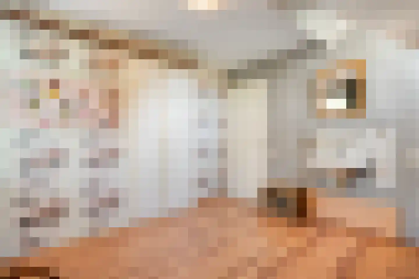 De Berken 33 Koekange thumbnail 27