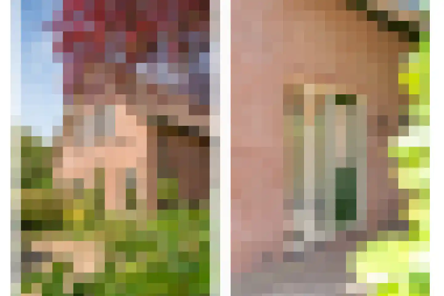 De Berken 33 Koekange thumbnail 31