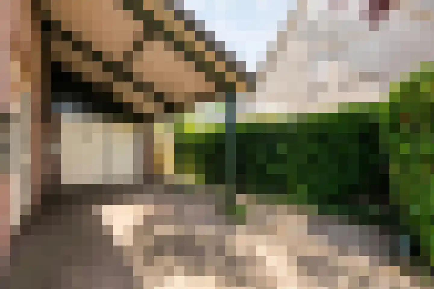 De Berken 33 Koekange thumbnail 32
