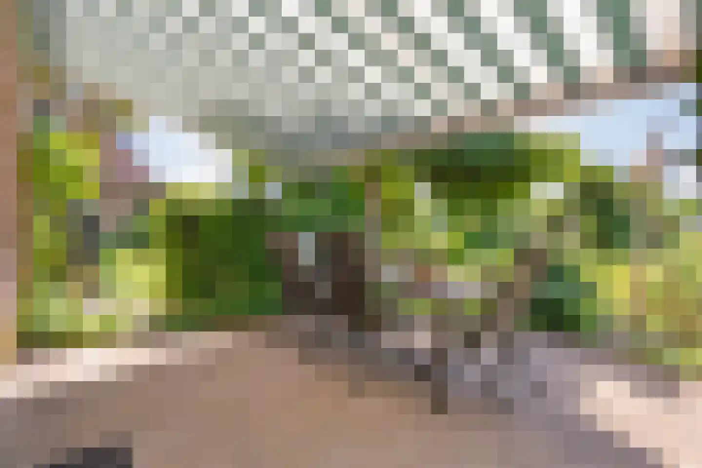 De Berken 33 Koekange thumbnail 34