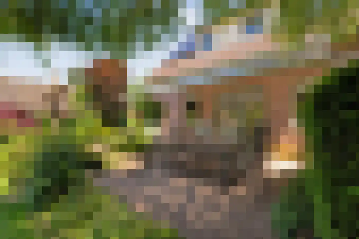 De Berken 33 Koekange thumbnail 35