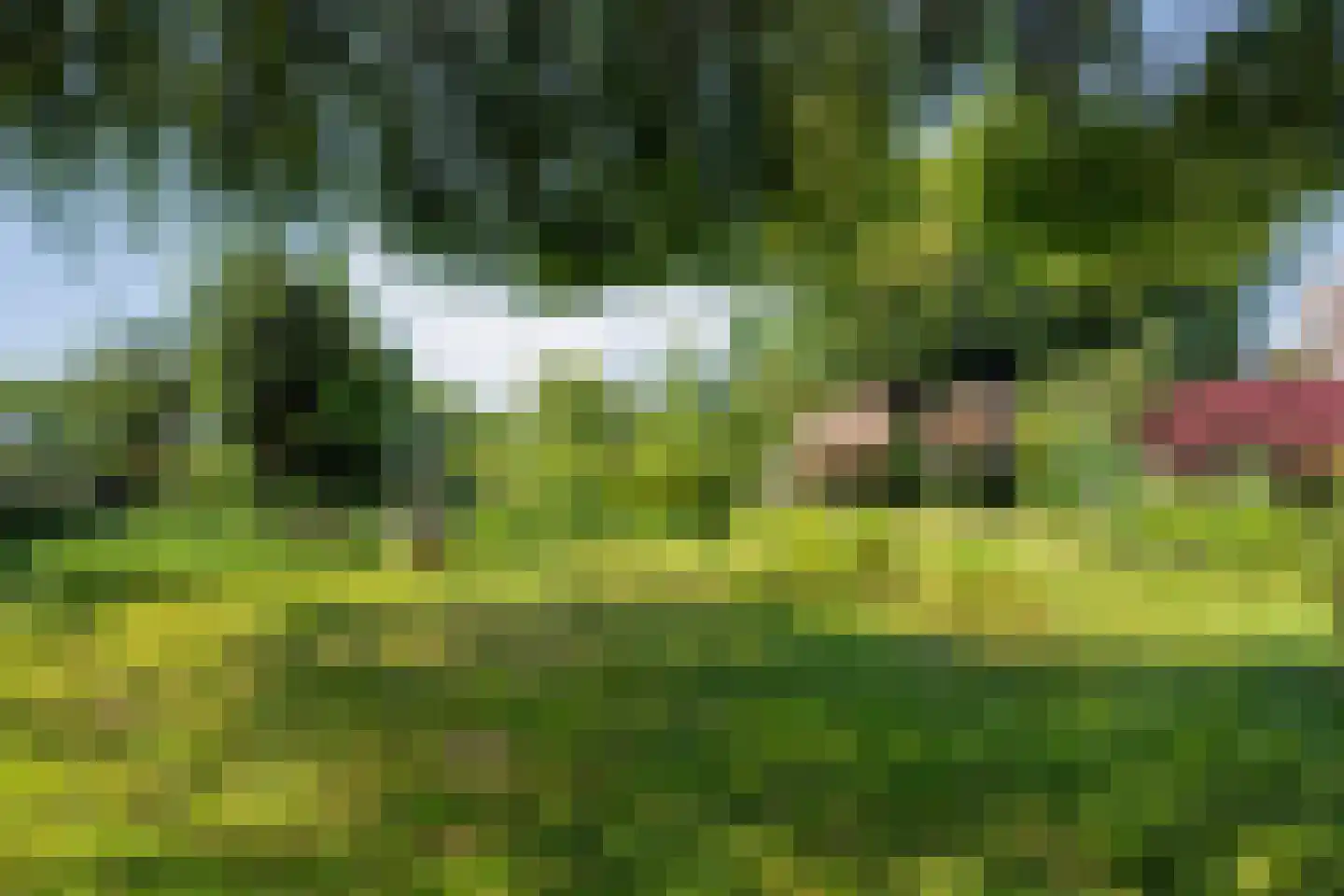 De Berken 33 Koekange thumbnail 37