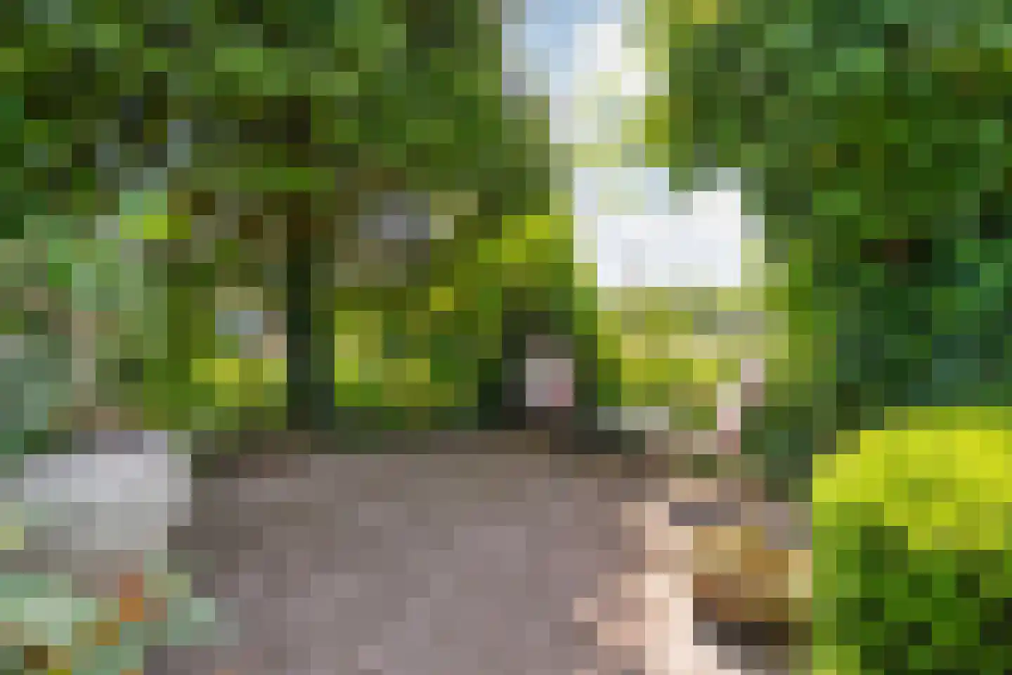 De Berken 33 Koekange thumbnail 38