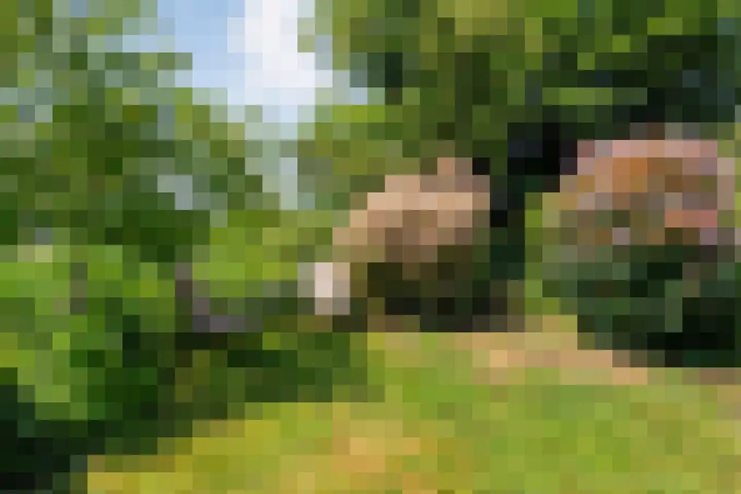 De Berken 33 Koekange thumbnail 39