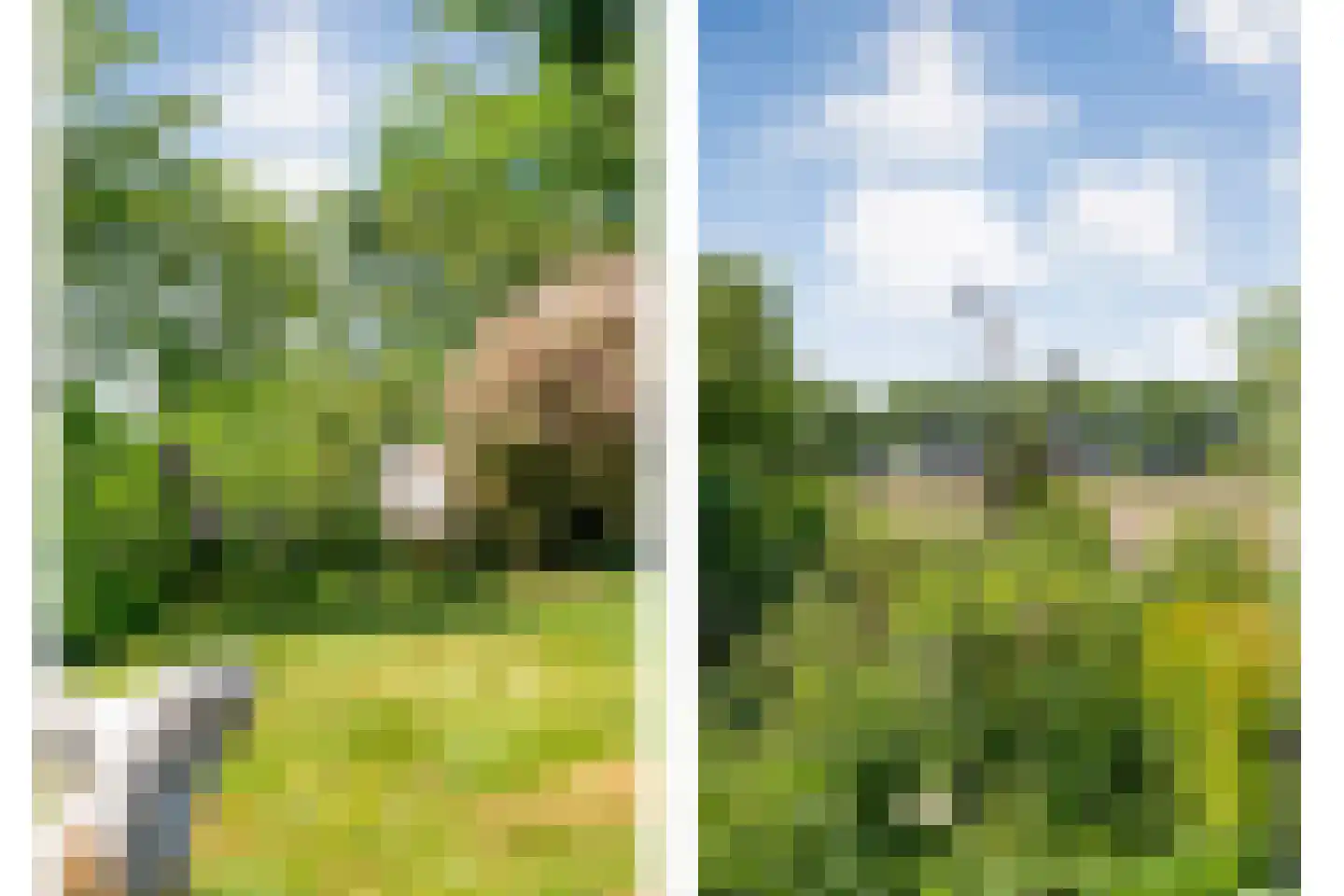 De Berken 33 Koekange thumbnail 40