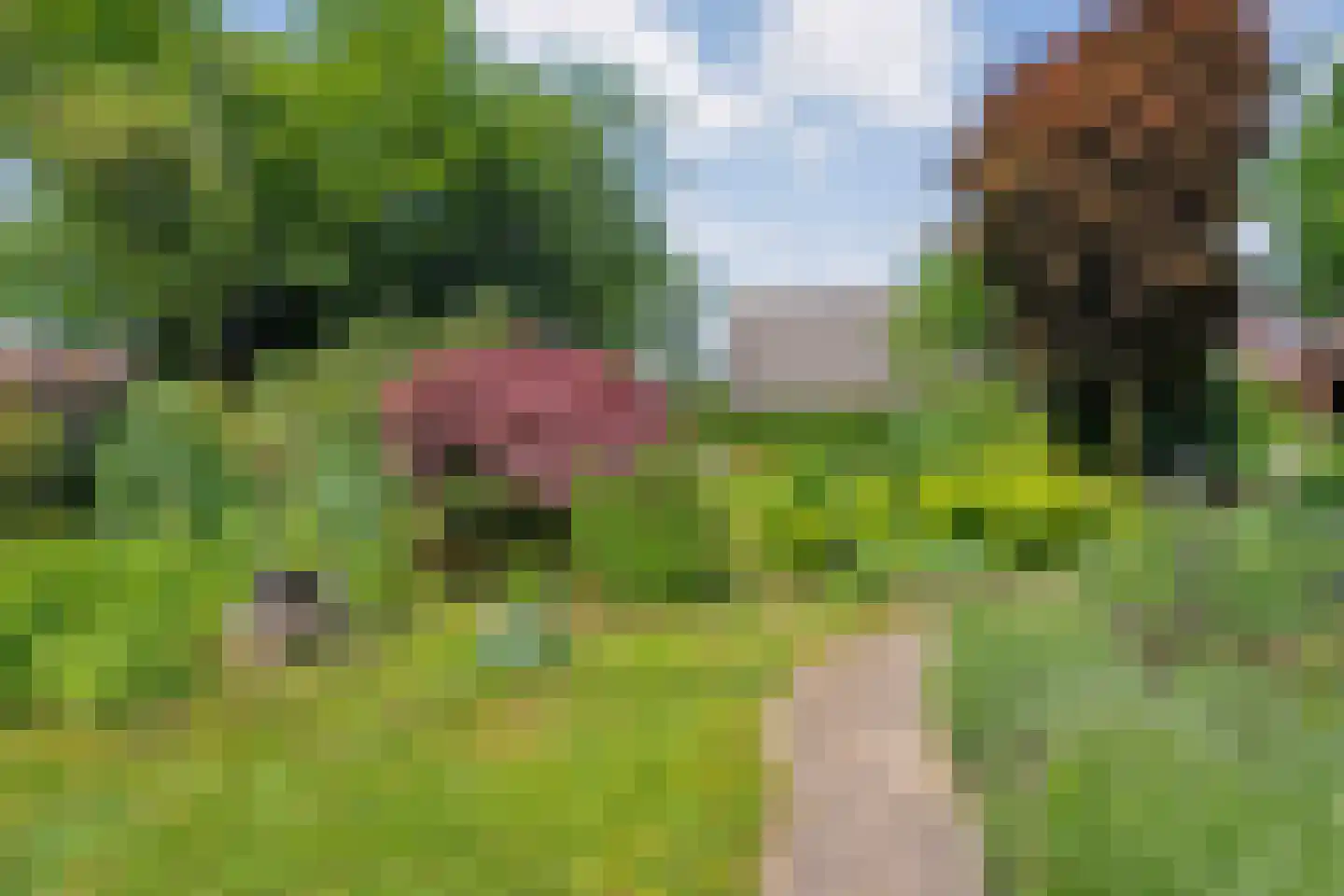 De Berken 33 Koekange thumbnail 41