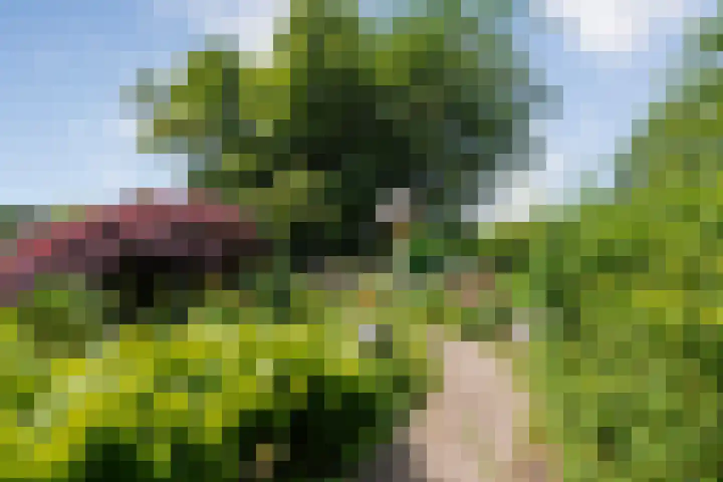 De Berken 33 Koekange thumbnail 42