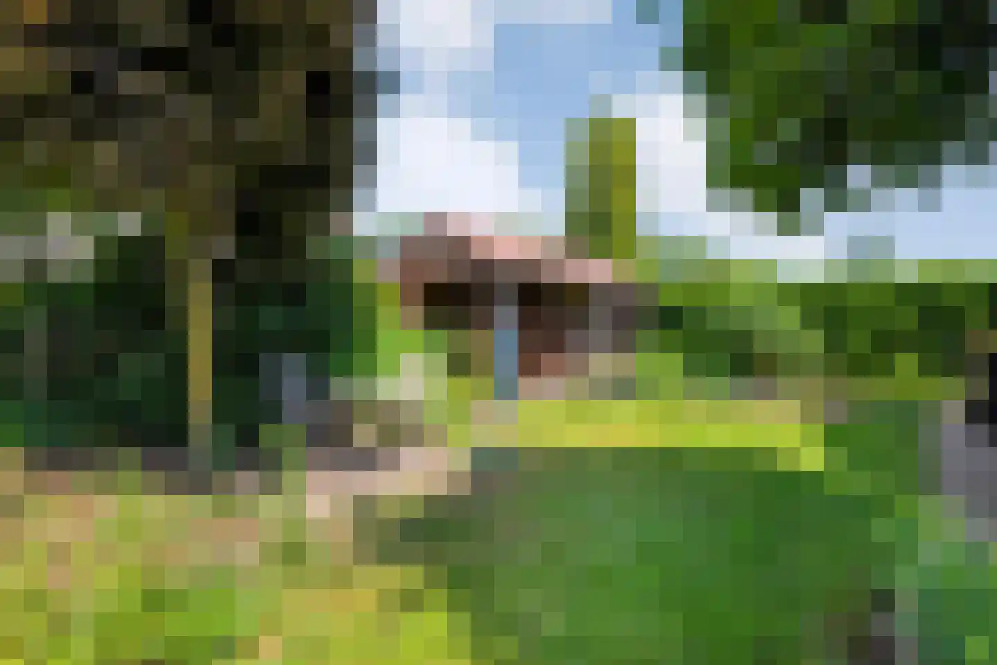 De Berken 33 Koekange thumbnail 43