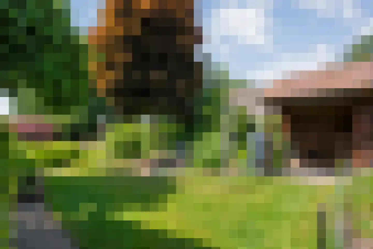 De Berken 33 Koekange thumbnail 44