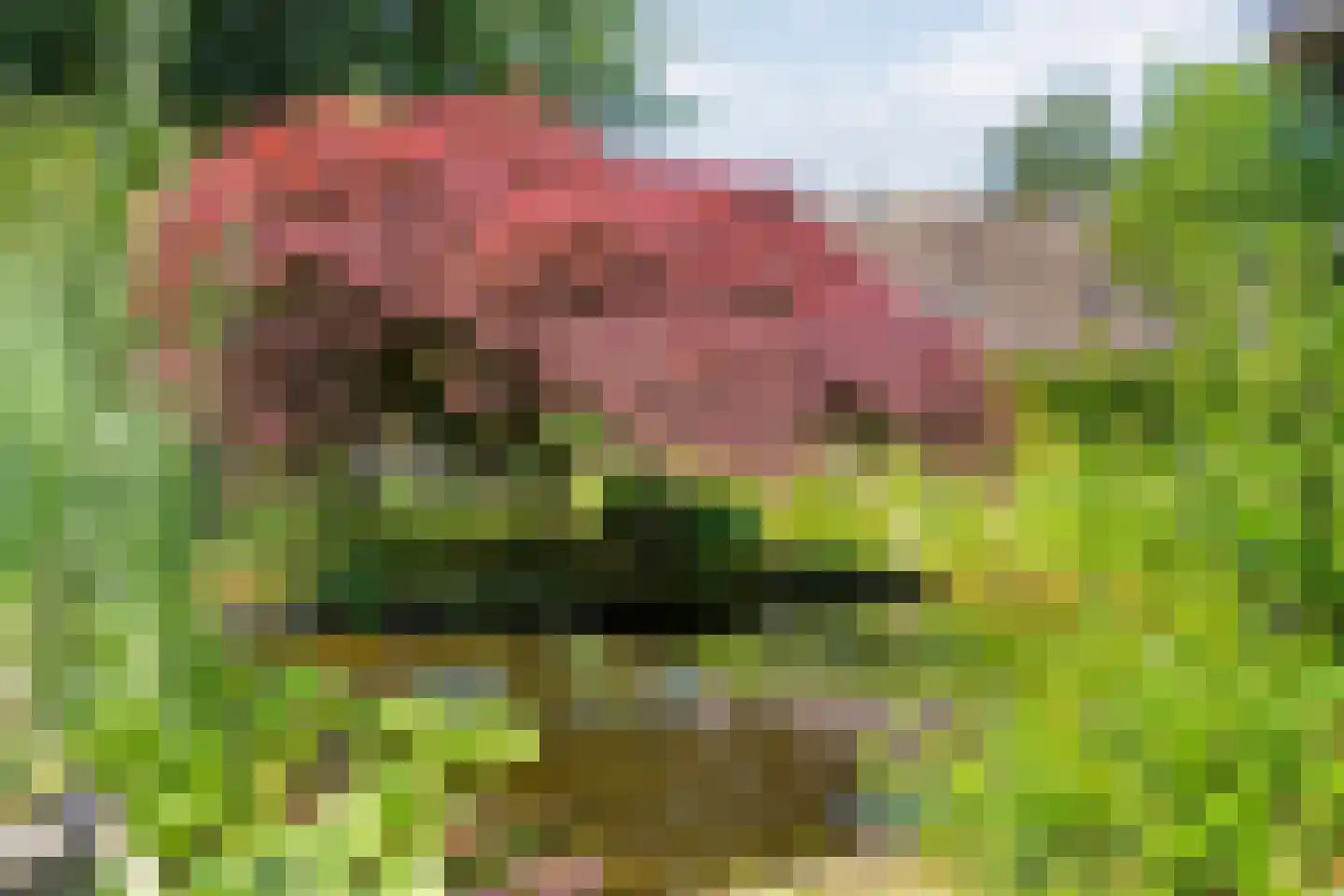 De Berken 33 Koekange thumbnail 45