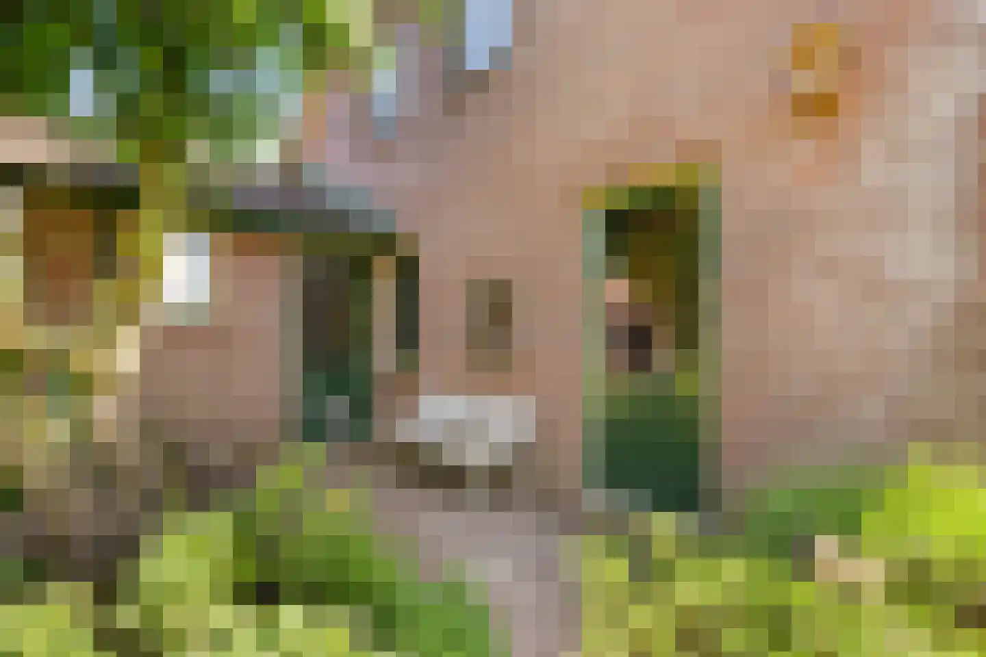 De Berken 33 Koekange thumbnail 47