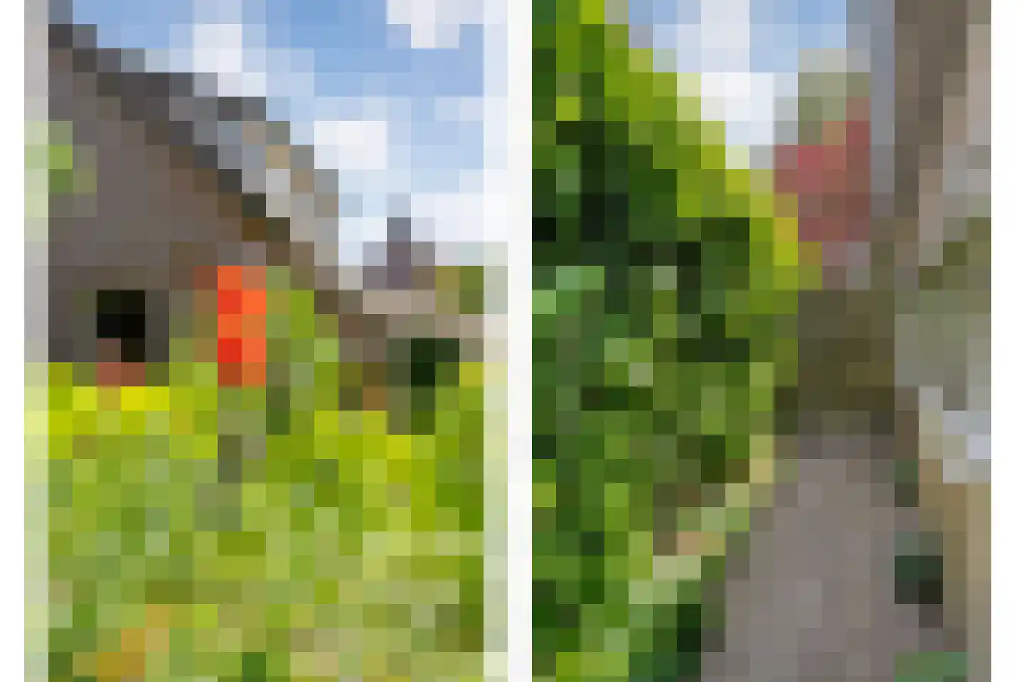 De Berken 33 Koekange thumbnail 48