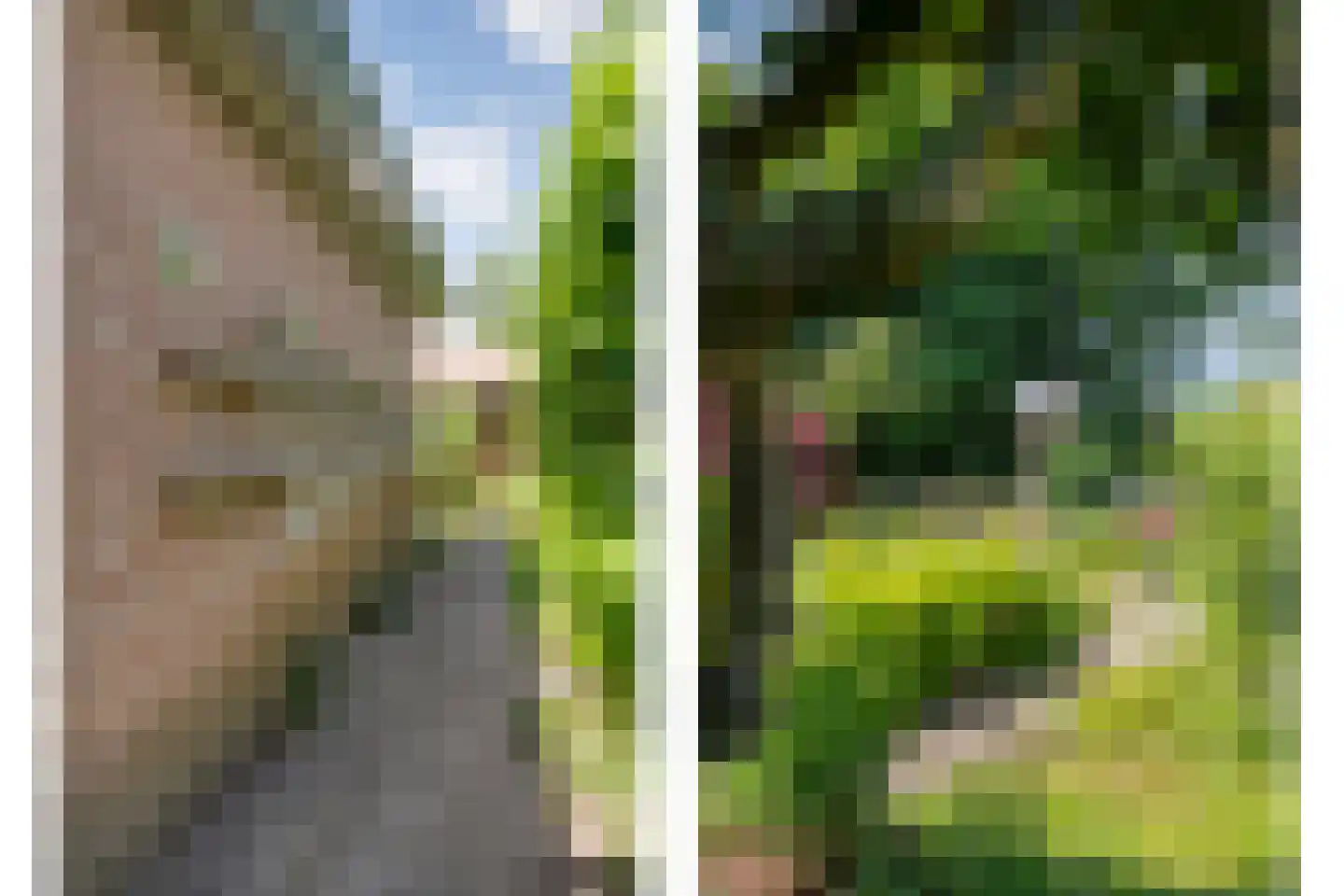 De Berken 33 Koekange thumbnail 49