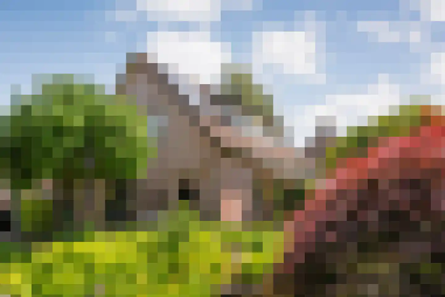 De Berken 33 Koekange thumbnail 52