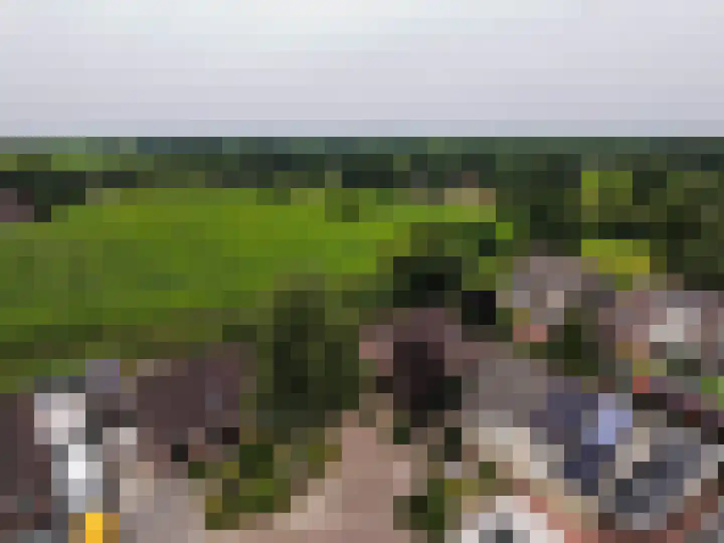 De Berken 33 Koekange thumbnail 53