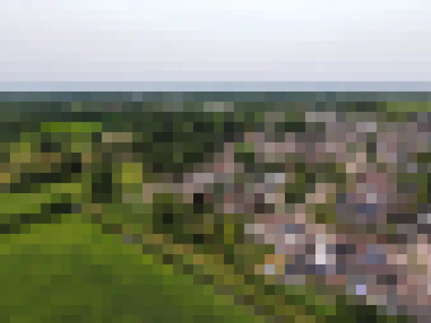 De Berken 33 Koekange thumbnail 54