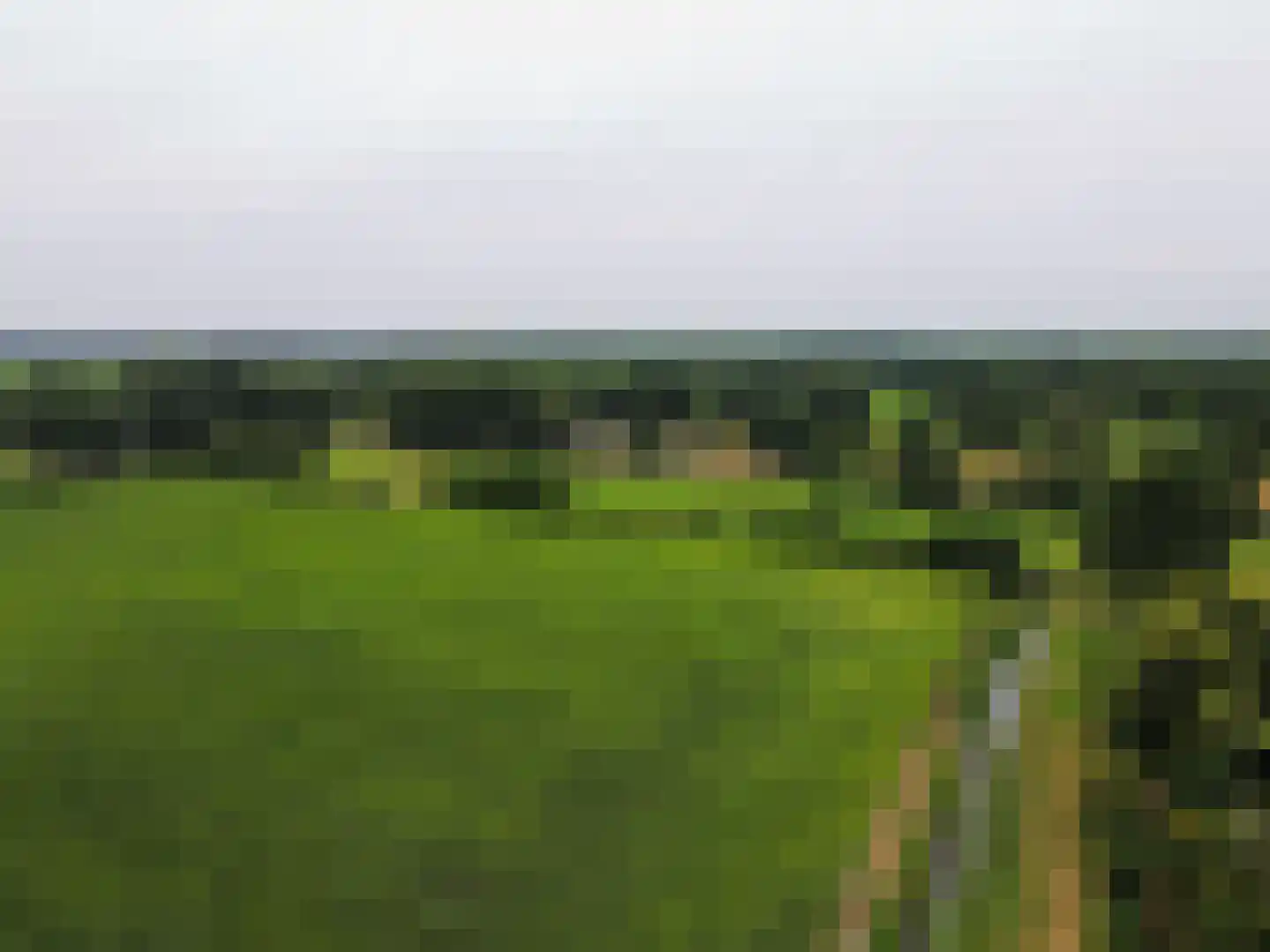 De Berken 33 Koekange thumbnail 55
