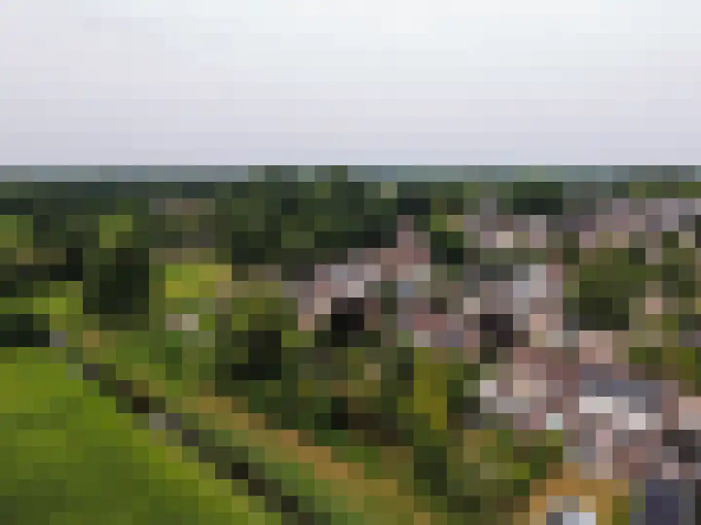 De Berken 33 Koekange thumbnail 56