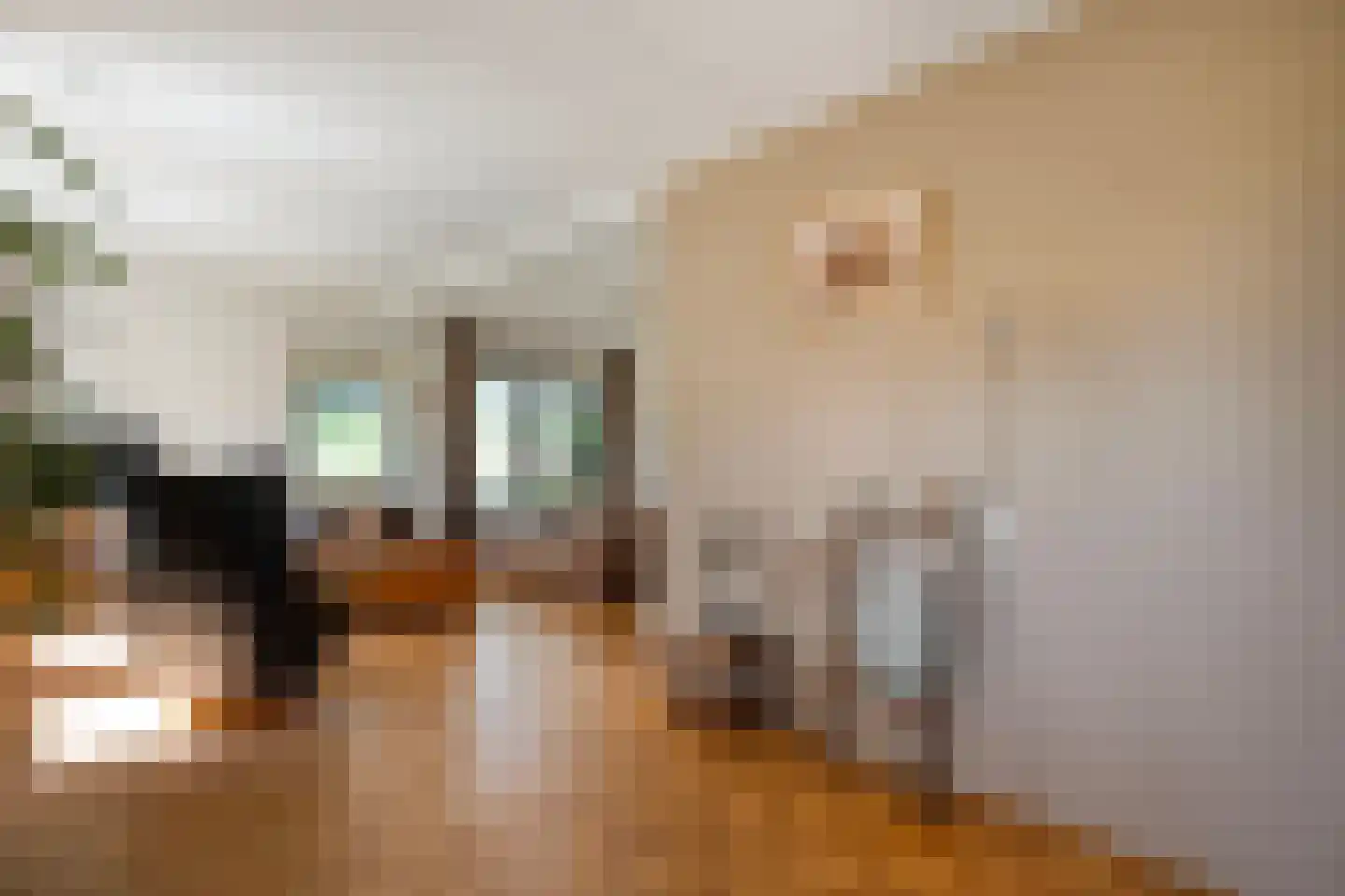 De Berken 33 Koekange thumbnail 6