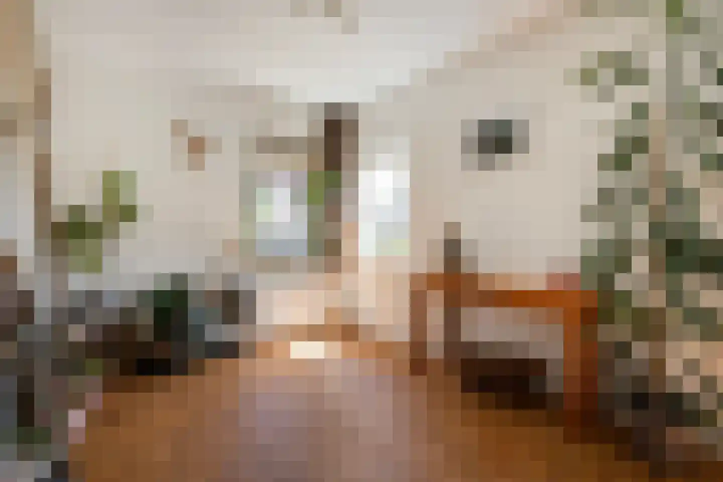 De Berken 33 Koekange thumbnail 7