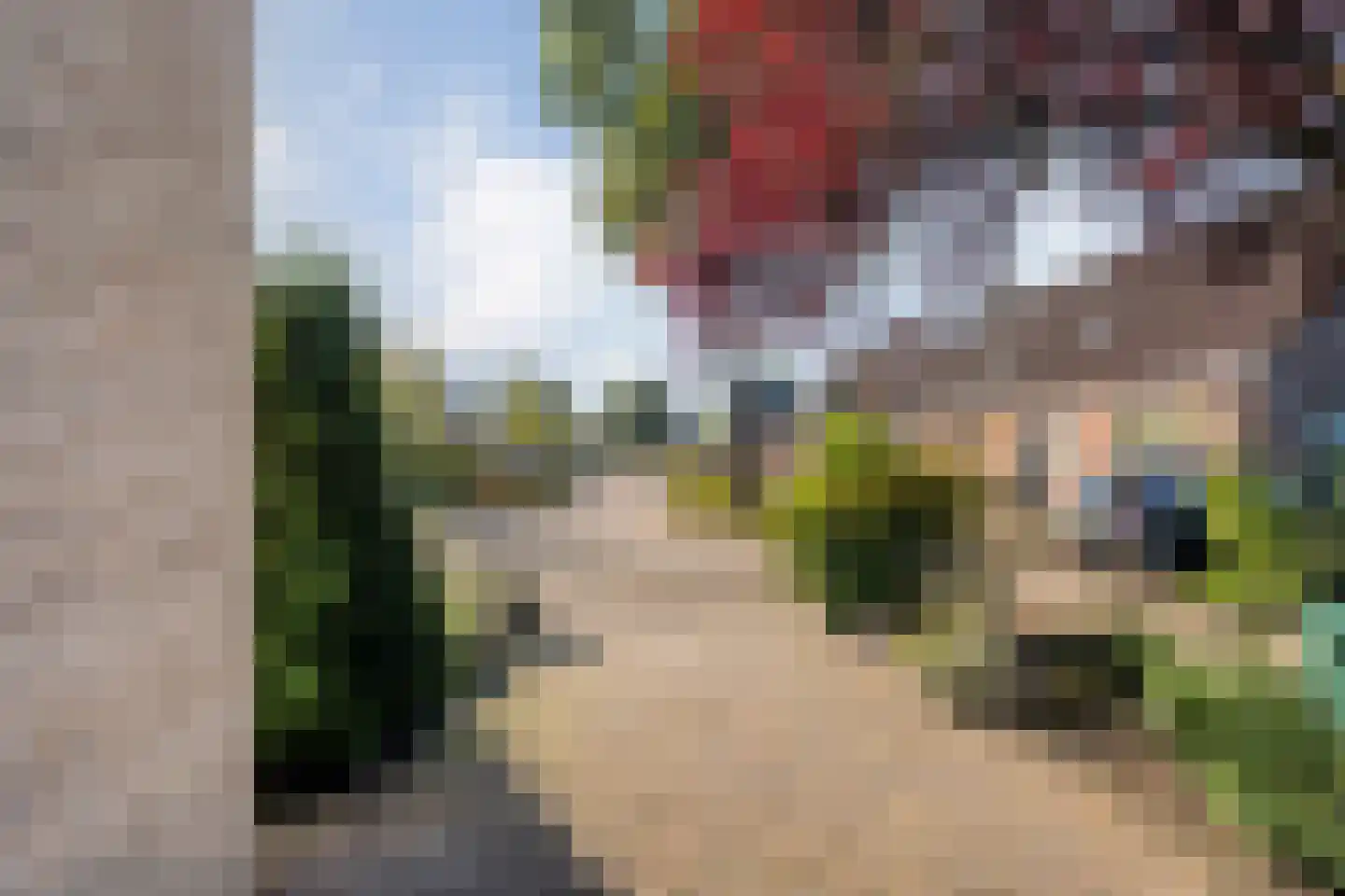 De Berken 35 Koekange thumbnail 11