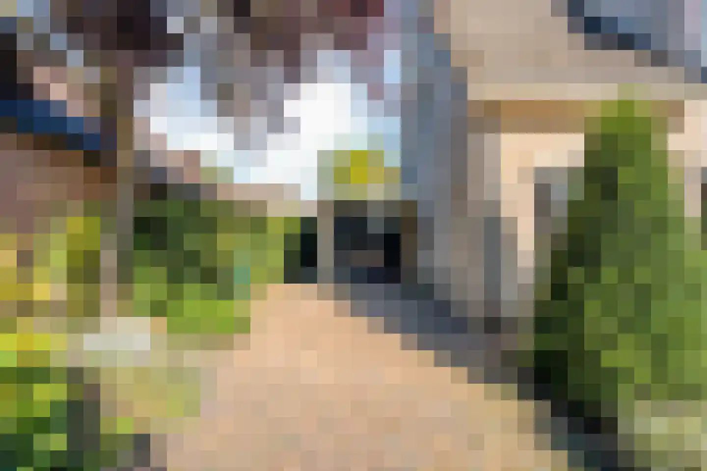 De Berken 35 Koekange thumbnail 12