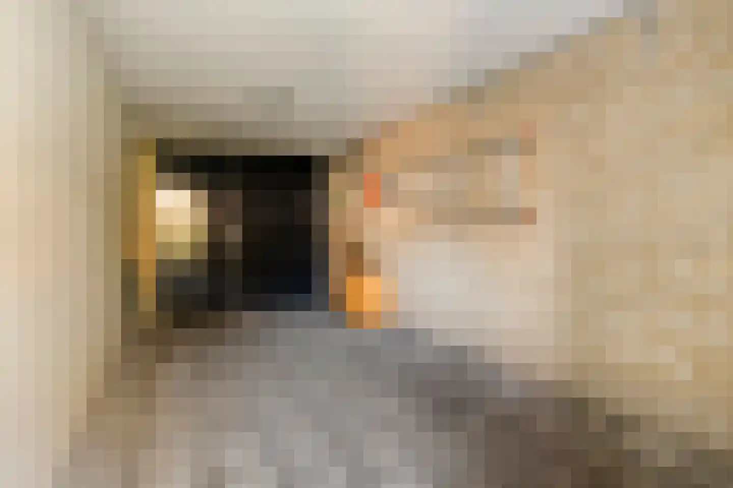 De Berken 35 Koekange thumbnail 28