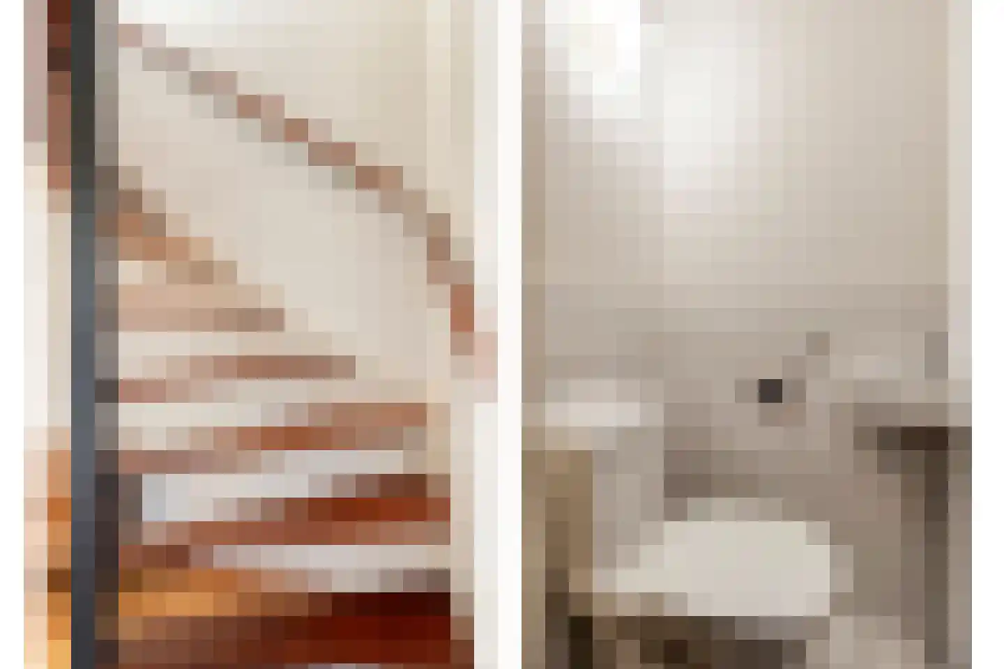 De Berken 35 Koekange thumbnail 30