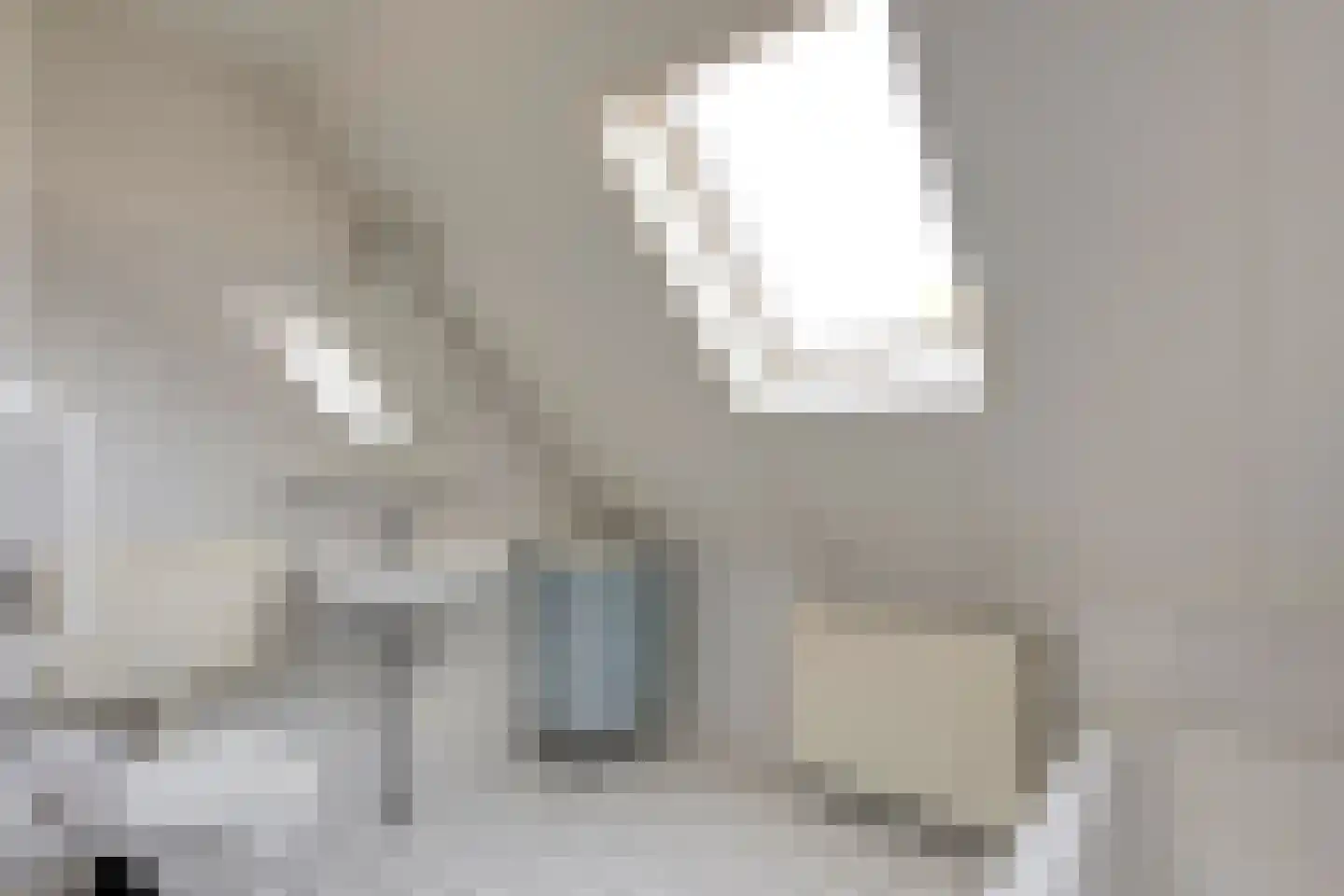 De Berken 35 Koekange thumbnail 37