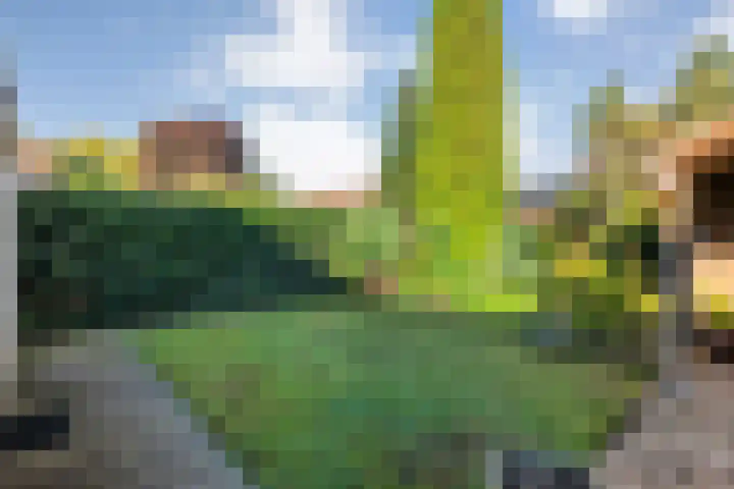 De Berken 35 Koekange thumbnail 46