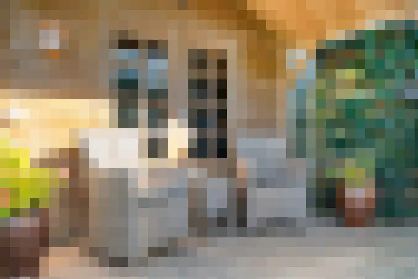 De Berken 35 Koekange thumbnail 49