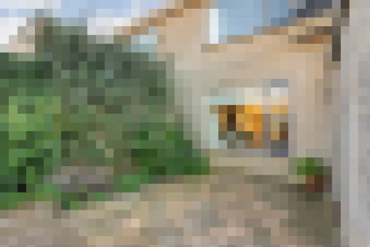 De Berken 35 Koekange thumbnail 50