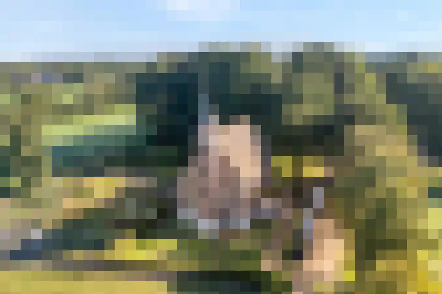 De Berken 35 Koekange thumbnail 55