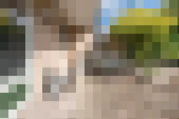 De Berken 39 Bussum thumbnail 16
