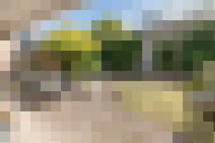 De Berken 39 Bussum thumbnail 19