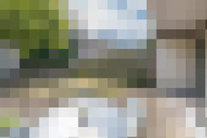 De Berken 39 Bussum thumbnail 20