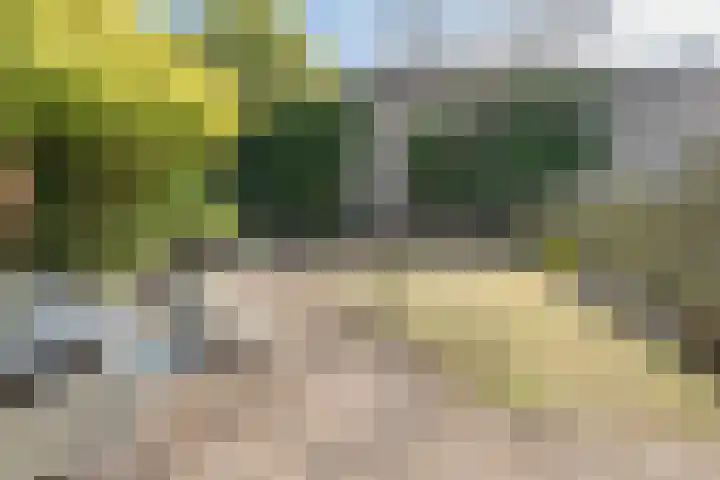 De Berken 39 Bussum thumbnail 21