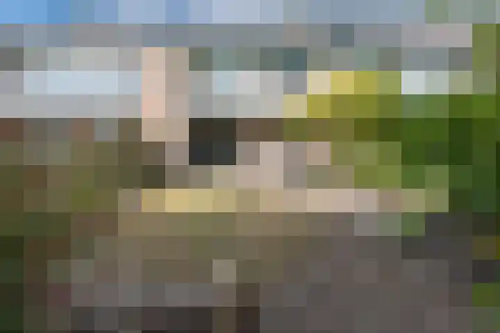De Berken 39 Bussum thumbnail 22