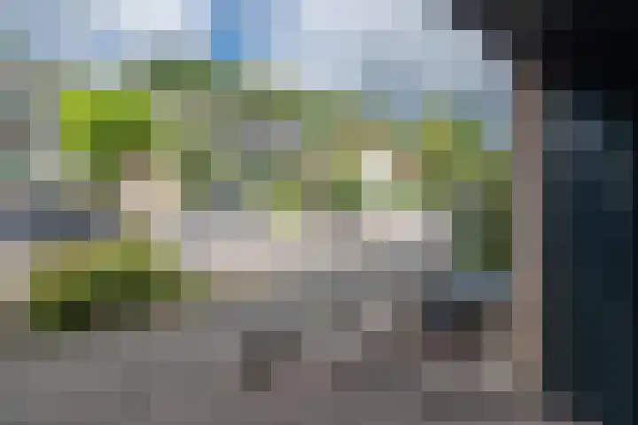 De Berken 39 Bussum thumbnail 25